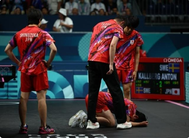 关于波兰队翻盘法国队,张本智和统治全场的信息 关于波兰队翻盘法国队,张本智和统治全场的信息